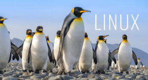 Linux operating system